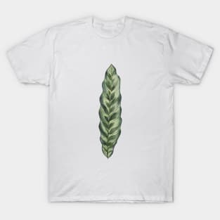 Simple Calathea Leaf T-Shirt